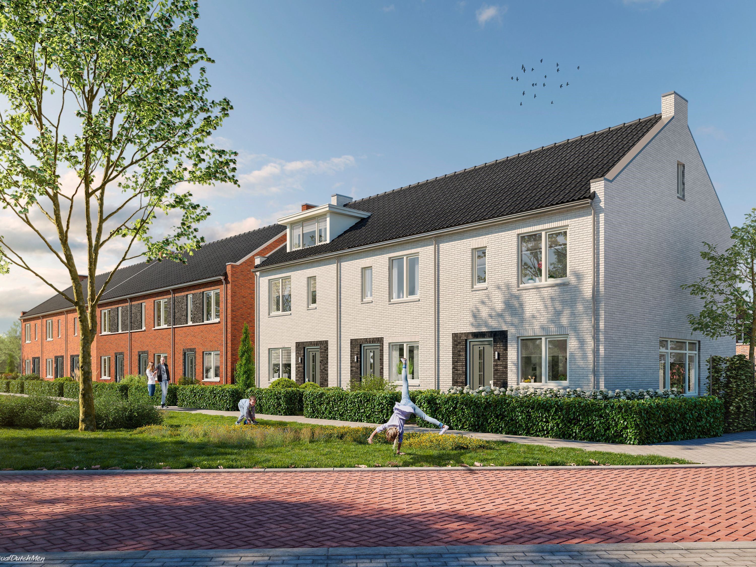 Opbroek Noord 4
